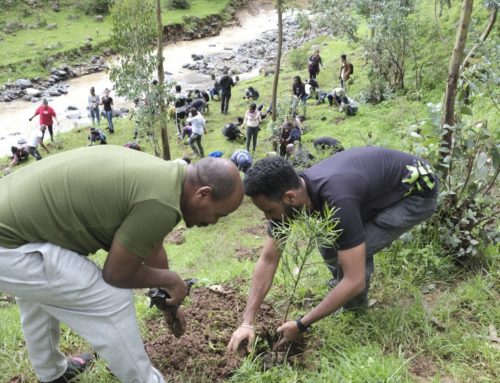 Eco-Diplomacy launched as a new tool in peace building by tackling the environment.